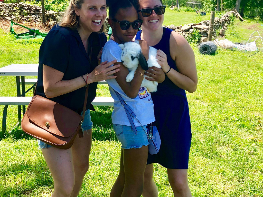 Clover Brooke Farm Llama Alpaca Hikes-海德公园必去景点