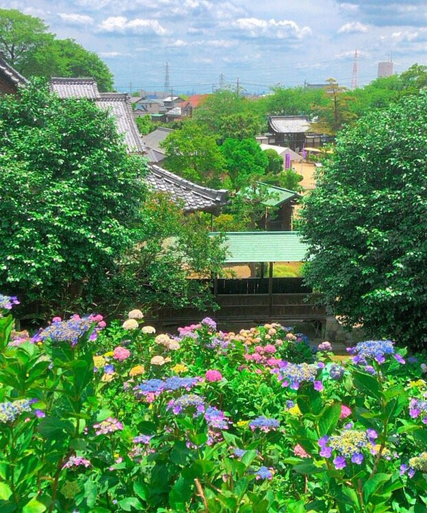 Shokai Shrine景点图片
