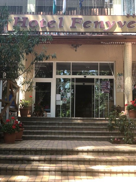 Fenyves Hotel主图