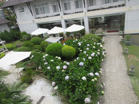 大叻曼青酒店主图