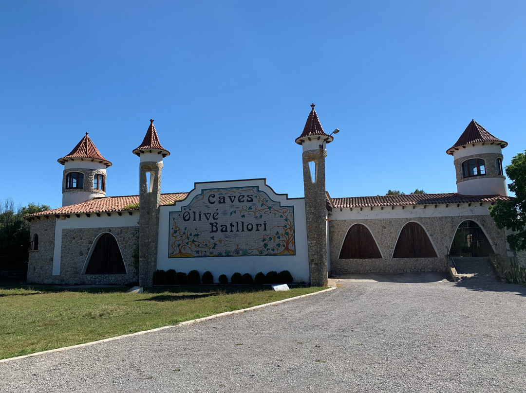 Olive Batllori Winery景点图片