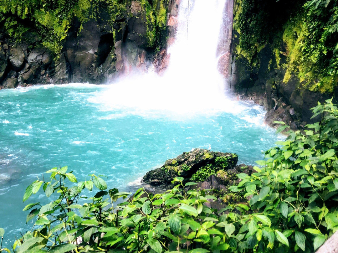 Guanacaste Tours and Transfers景点图片