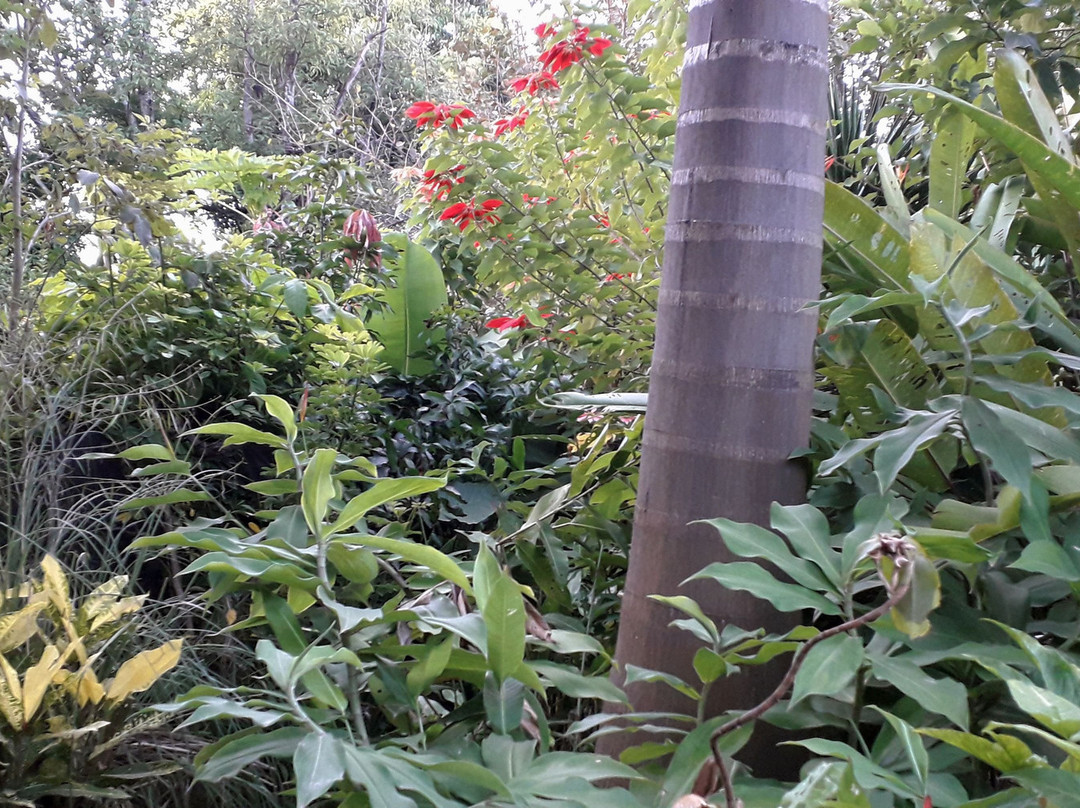 Hosteria El Jardin Colonial主图