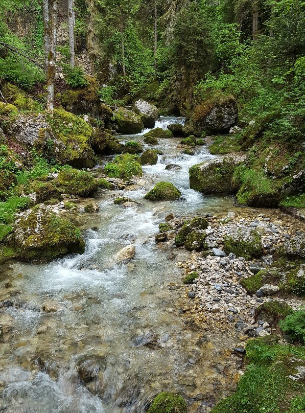 Chalet du Cirque de Saint Même主图