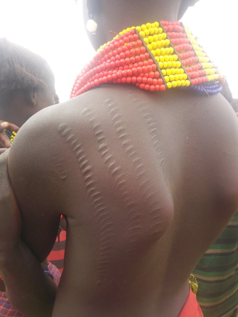 View Inn and Suites JFK-官方