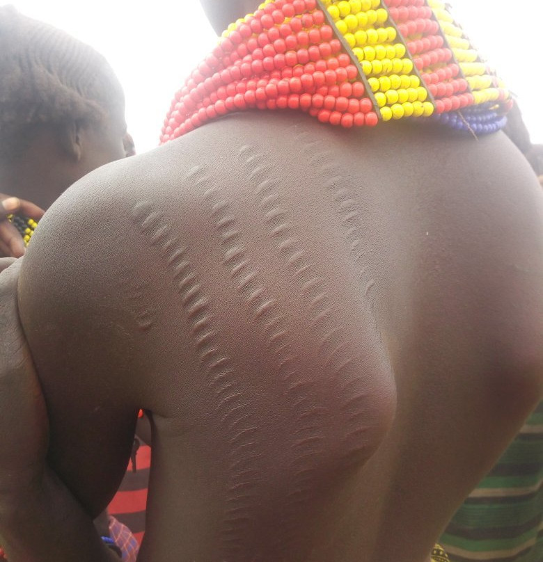 View Inn and Suites JFK主图