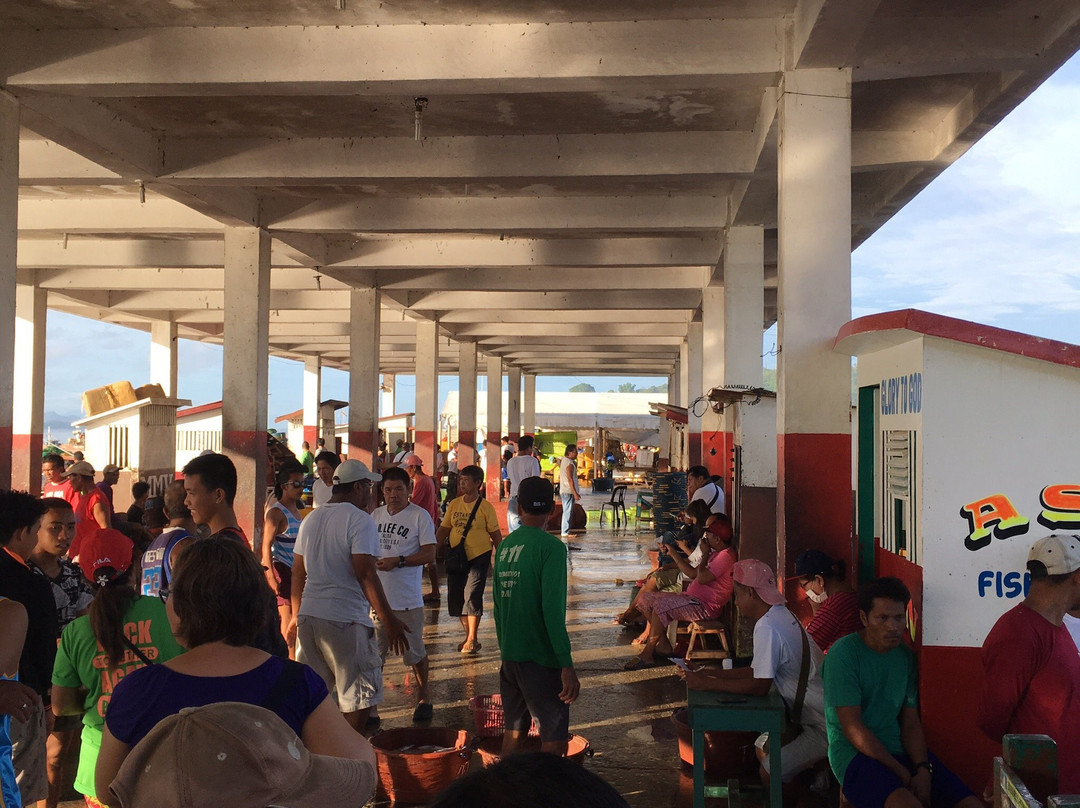 Estancia Fish Port-Estancia必去景点