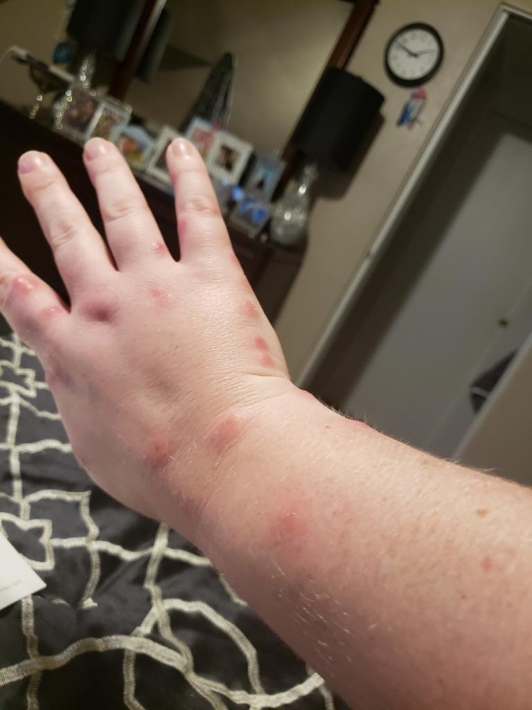 Niagara Falls North / Lewiston KOA-浴室