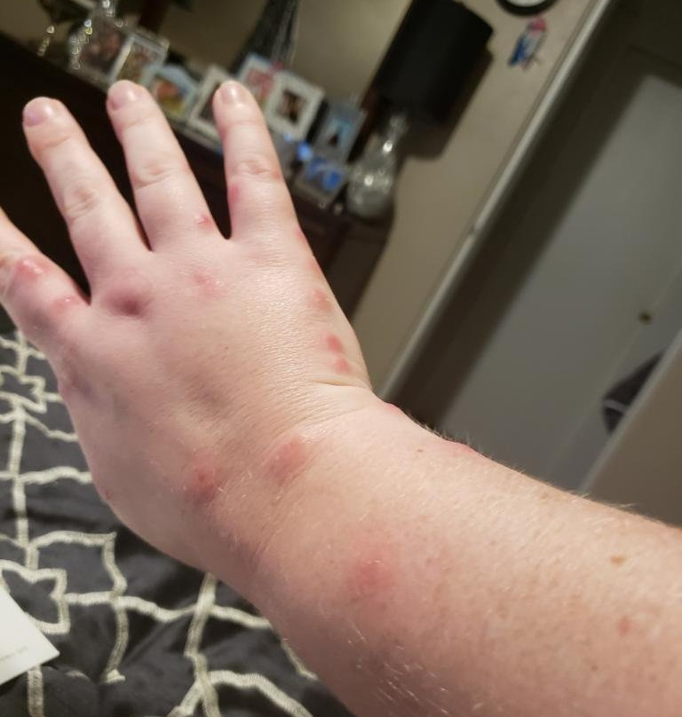 Niagara Falls North / Lewiston KOA主图