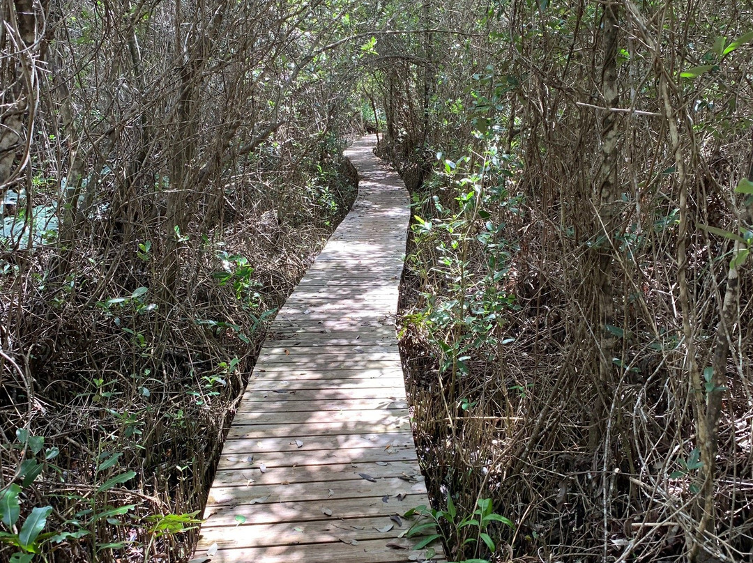 Mastic Trail景点图片