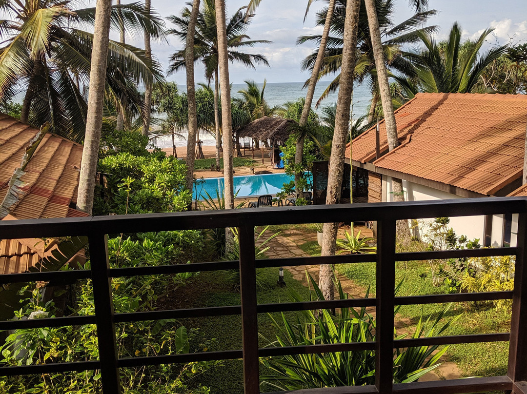 Seven Turtles Resort主图