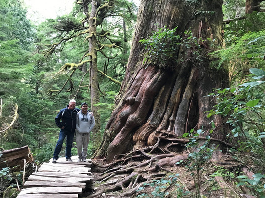 T'ashii Paddle School-托菲诺必去景点