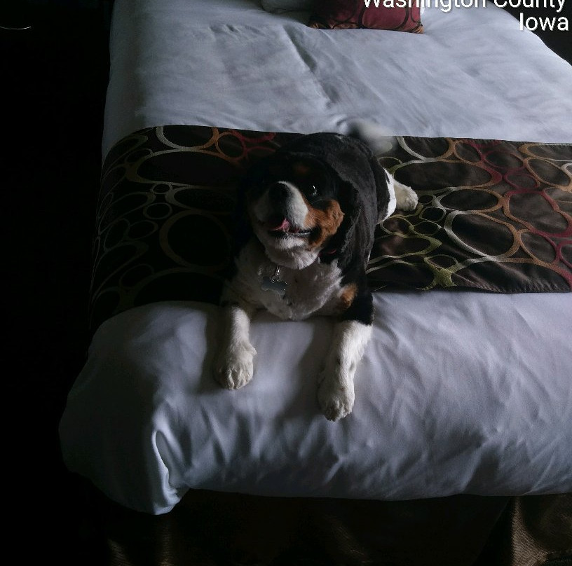 Riverside Casino & Golf Resort主图