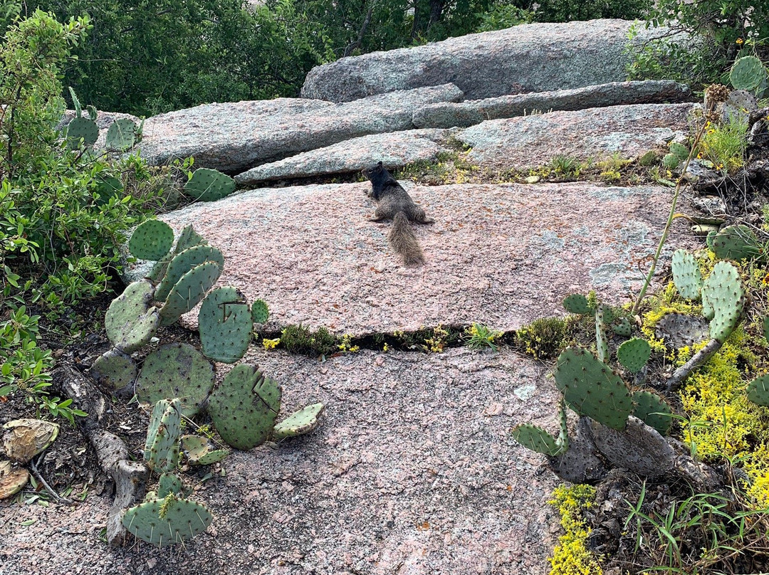 Enchanted Rock State Natural Area景点图片