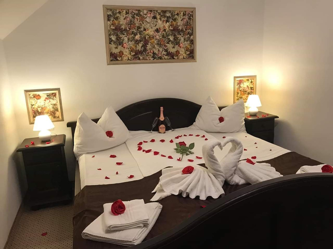 Hotel Popasul Regelui主图