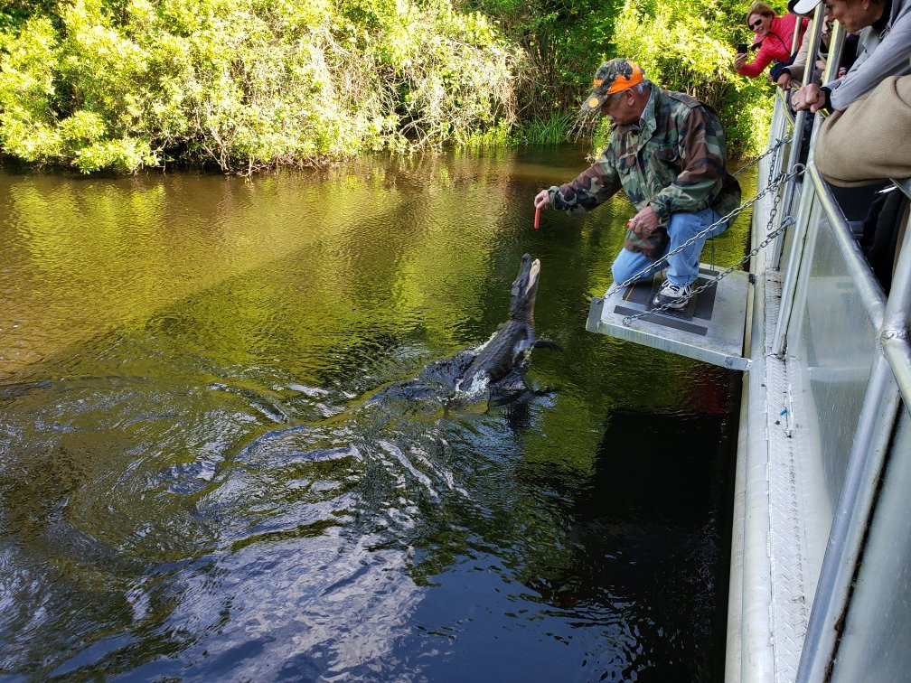 African Queen Steamboat Tour-新瓦雅塔必去景点