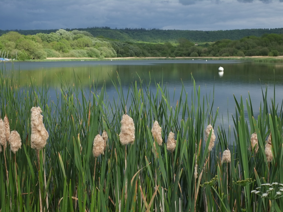 Weston Turville Reservoir景点图片