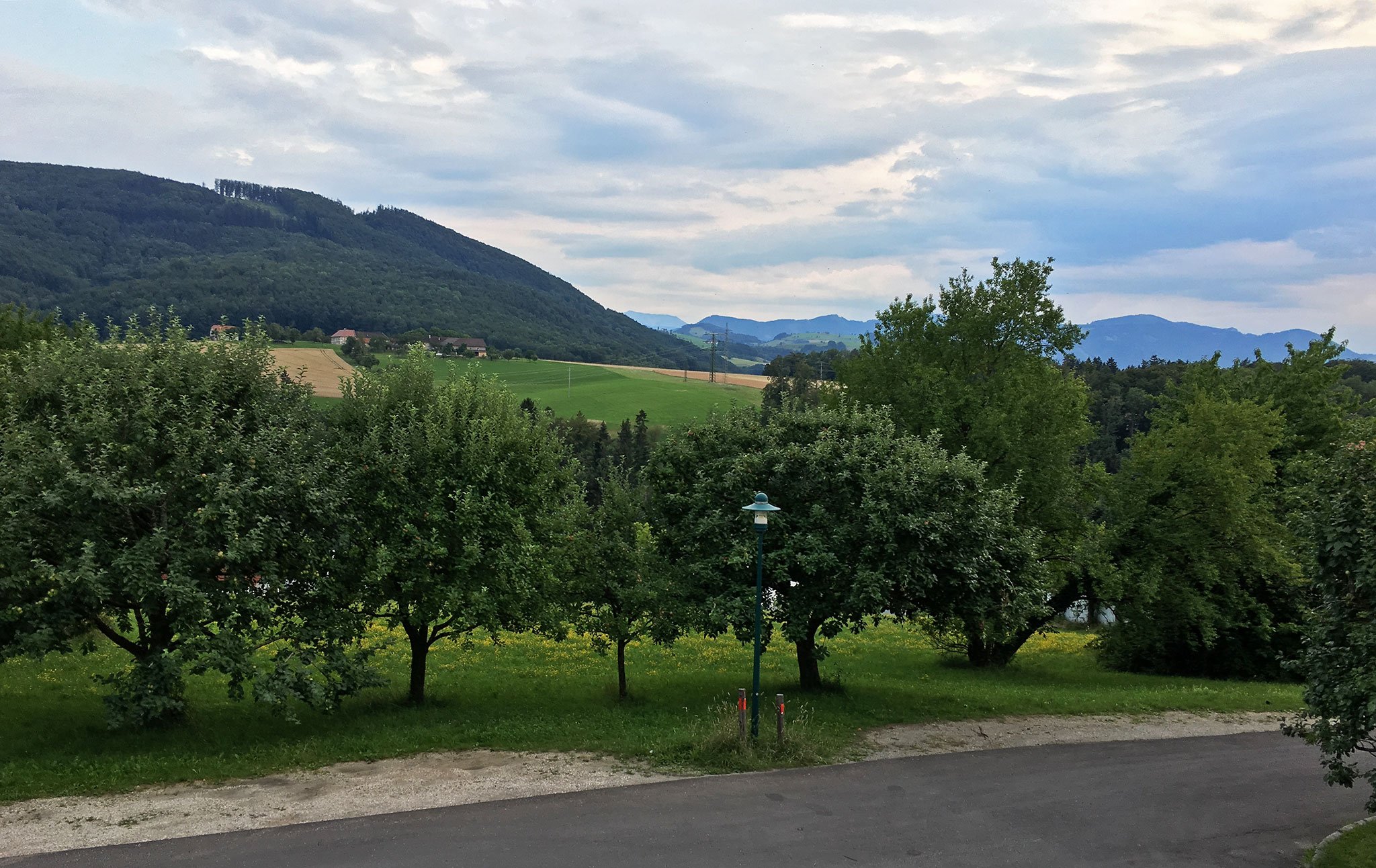 Landgasthof Mayr-酒店景观