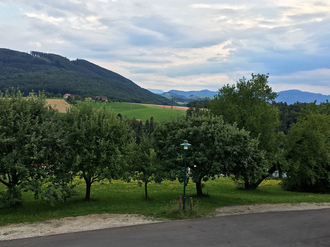 Landgasthof Mayr主图