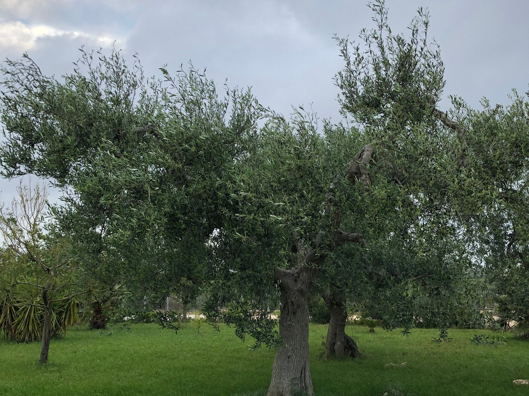 Templum Salutaris Spa-Acquaviva delle Fonti必去景点