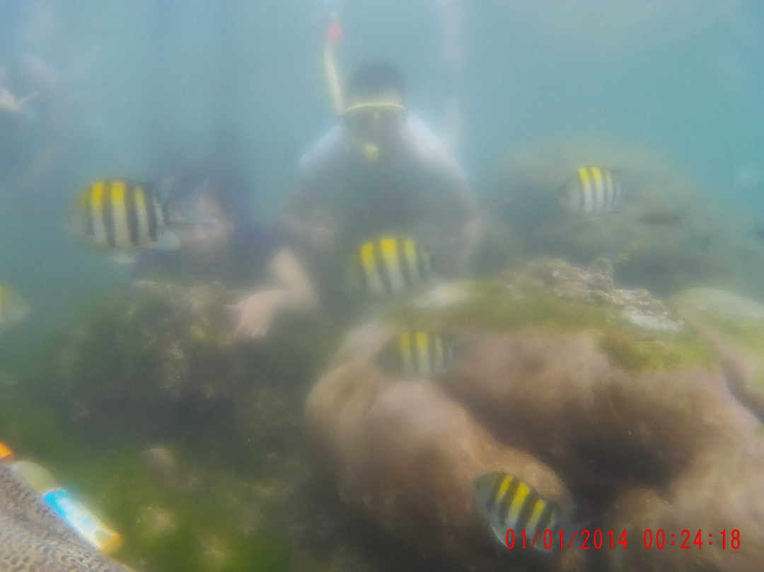 Ngulandara Tour-Yogyakarta必去景点