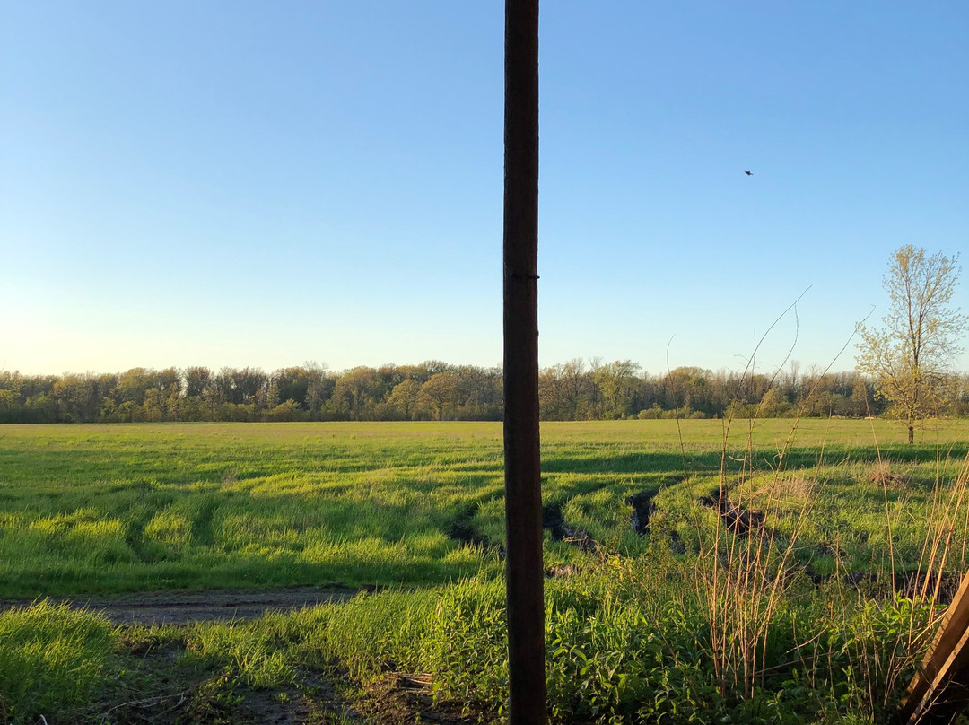 The Wilfrid Boutique Farmhouse主图