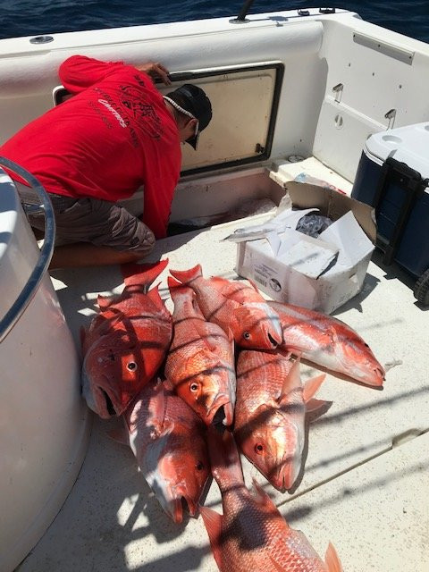 Oilfield Outkasts Charters-Freeport必去景点