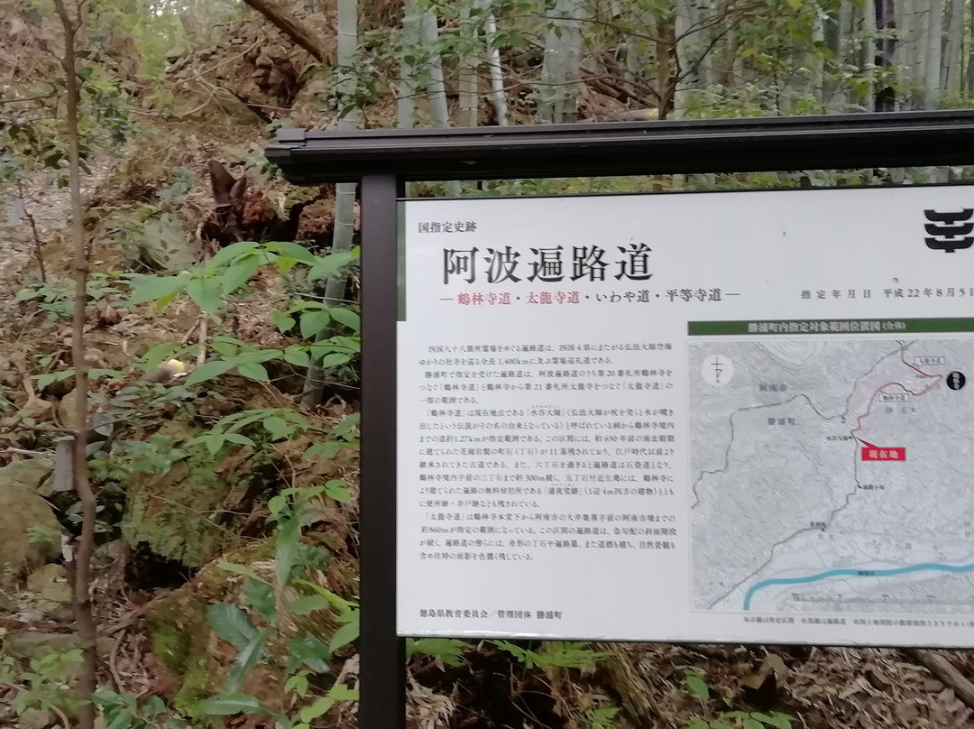 Kakurin-ji Temple Niomon-胜浦町必去景点