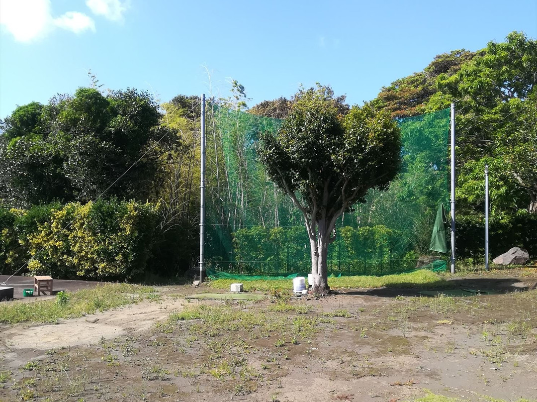 胡桃屋旅馆主图