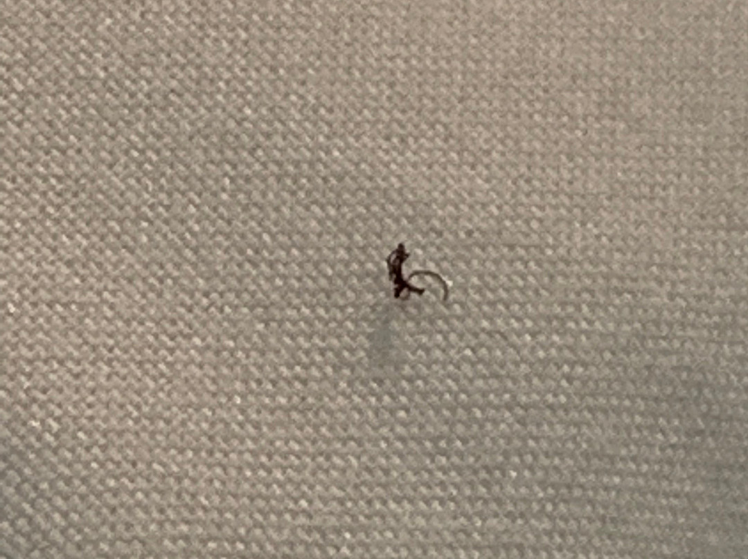 贝斯特韦斯特夏利马尔广场酒店&会议中心主图