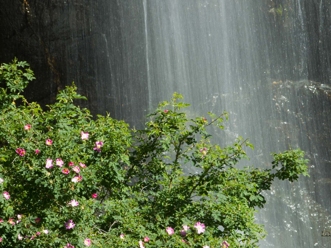 Cascada Mazobres景点图片