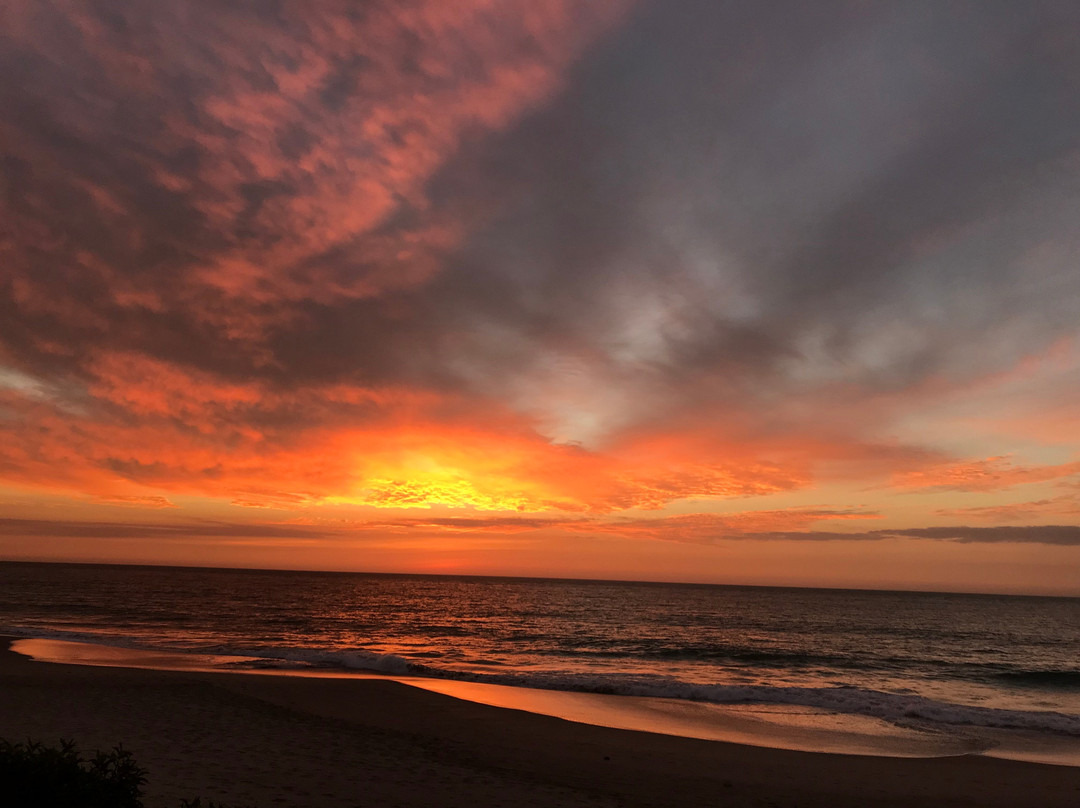 马库拉艾维纳酒店主图