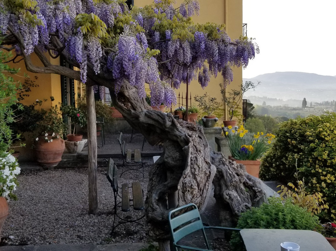 Pensione Bencistà主图