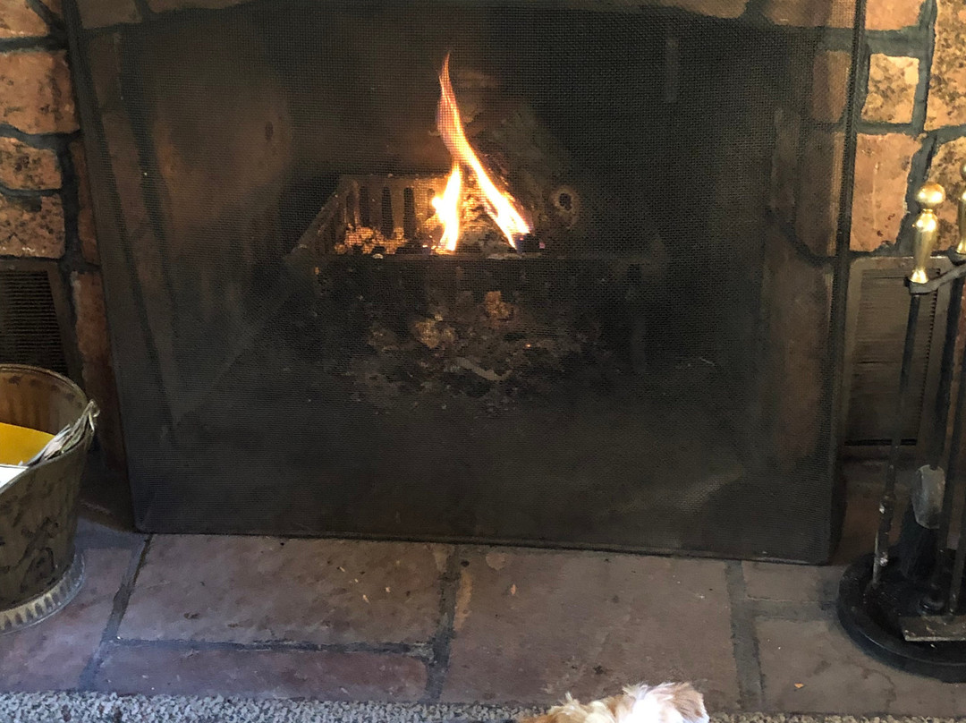 Braeside Cabin主图