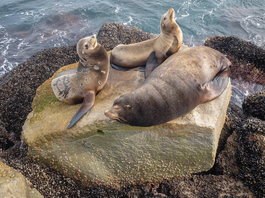 Breakwater-蒙特雷必去景点