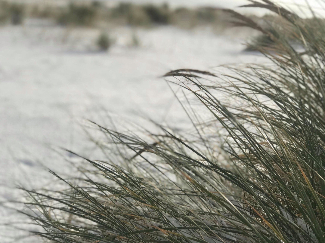 Sandilands Beach景点图片