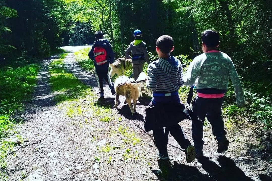 3D NORDIC, chiens de traîneau-Praz Sur Arly必去景点