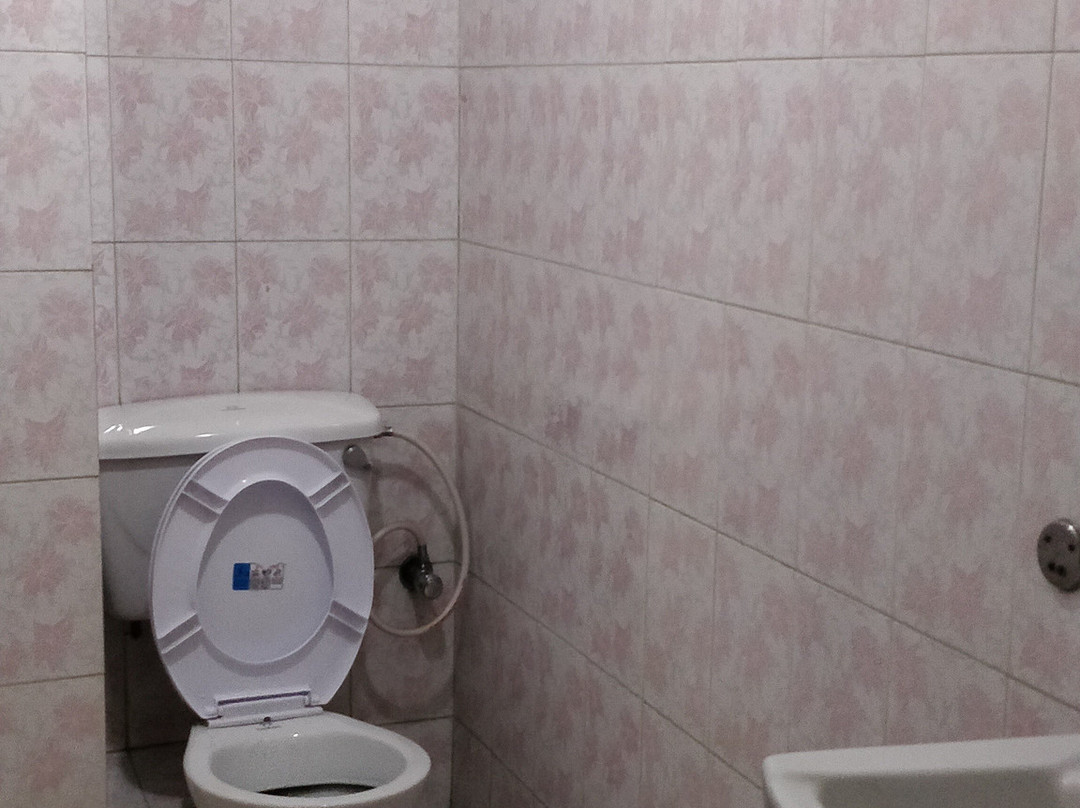 Hotel Bhintuna主图