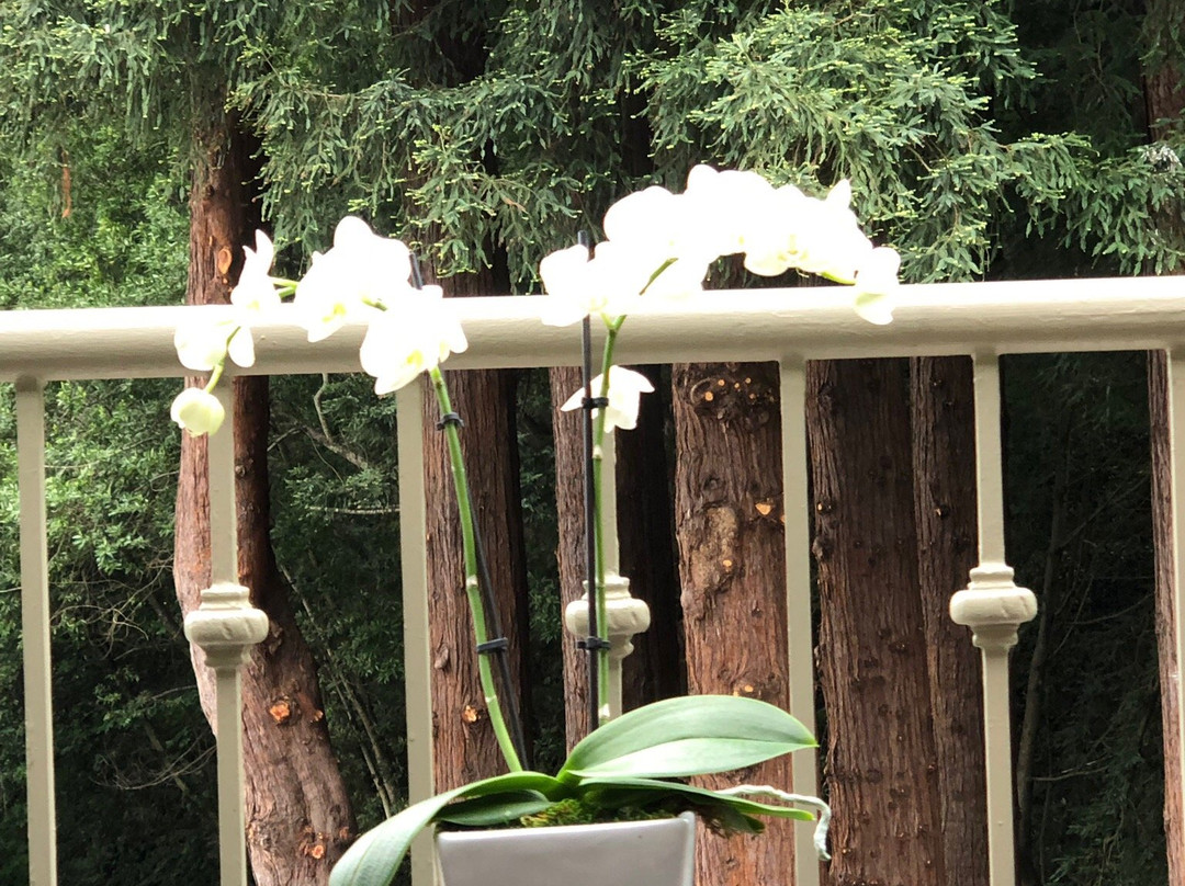 米尔谷旅馆主图