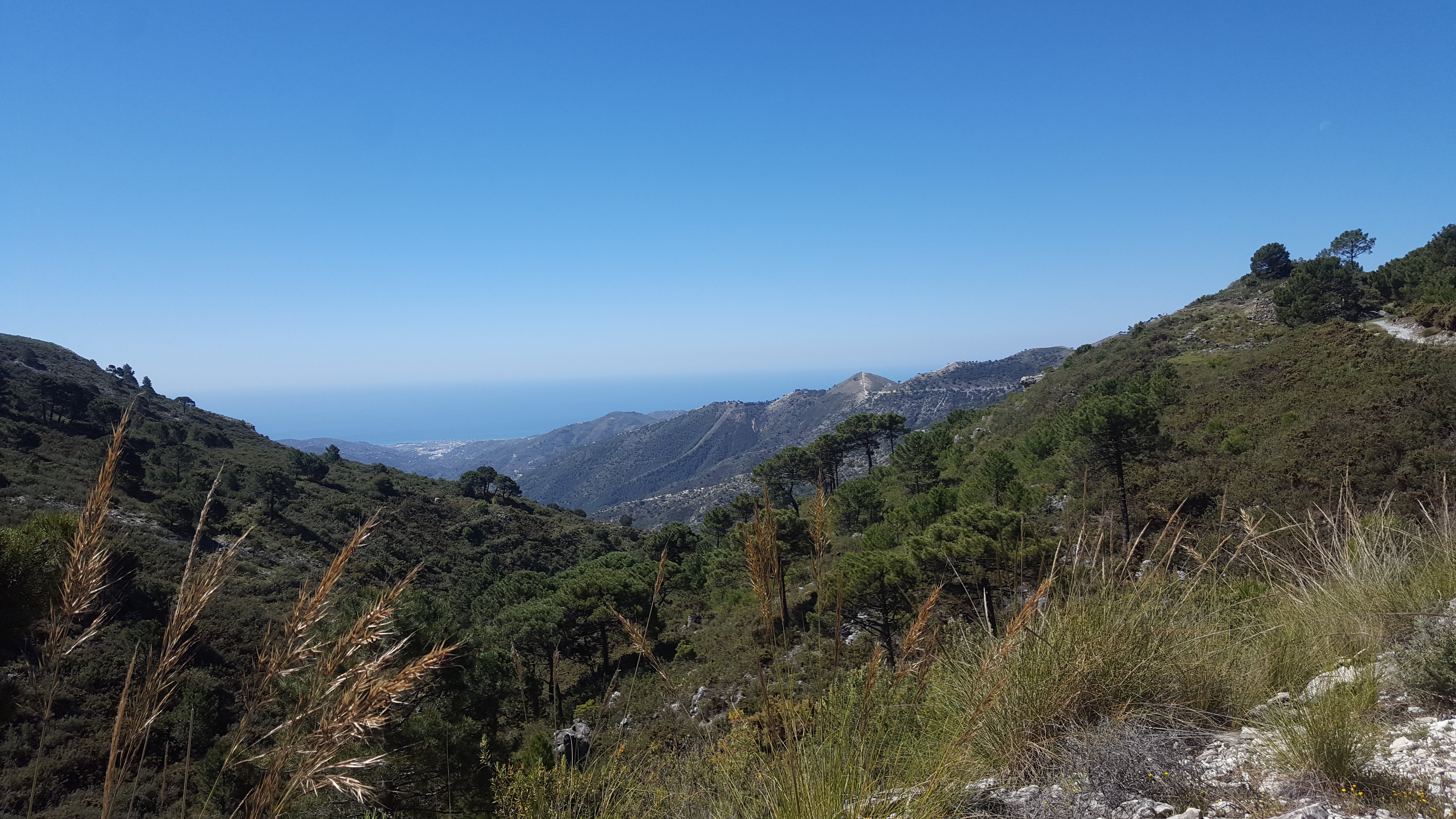 Finca Los Pinos-官方