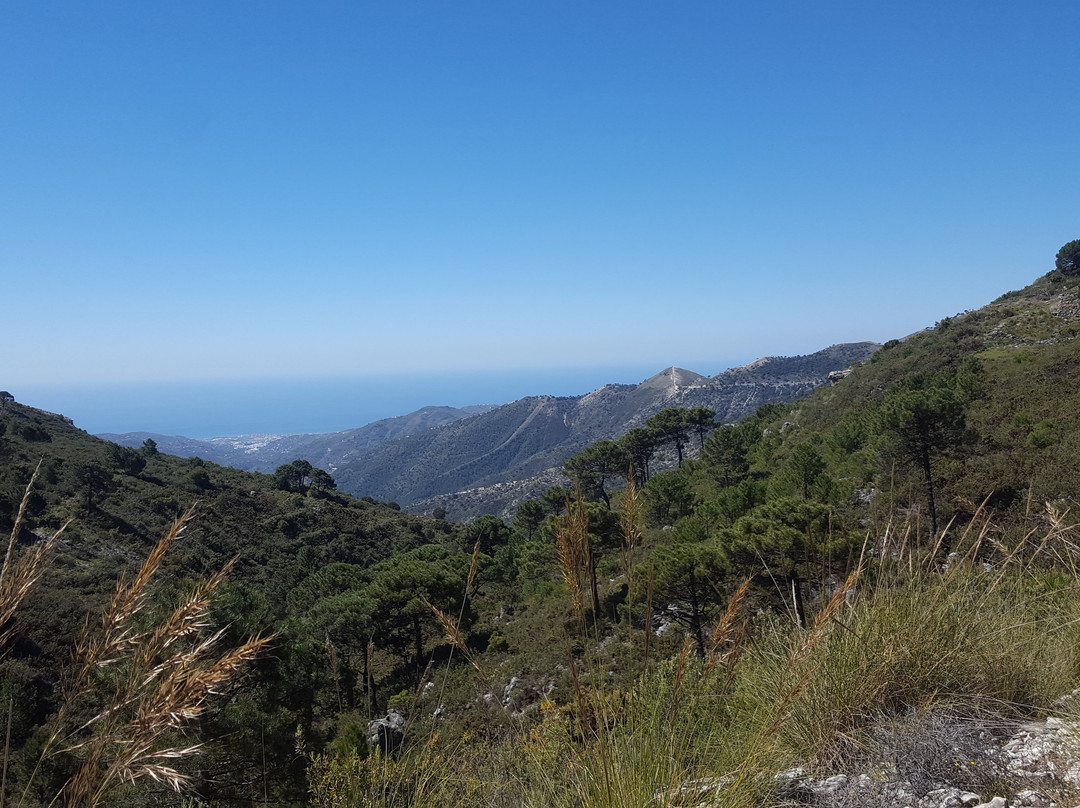 Finca Los Pinos主图