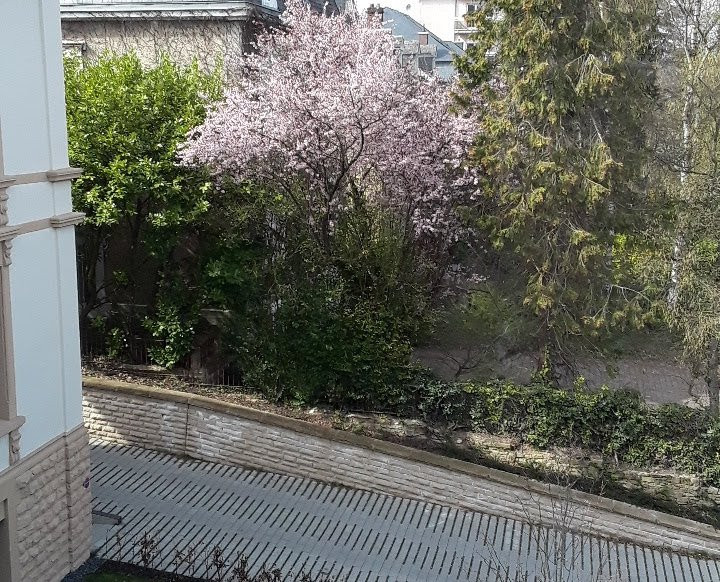 Vistay Apartments主图