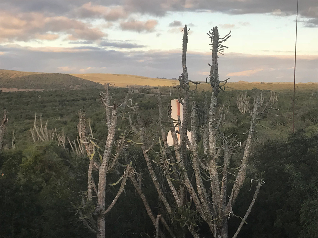 Addo Afrique Estate主图