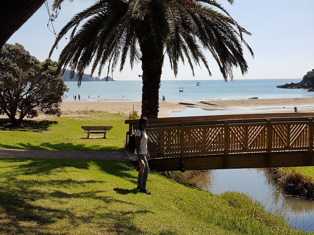 Waiheke Punga Lodge主图