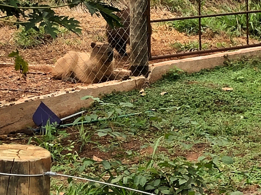 Bio Park-博尼图必去景点