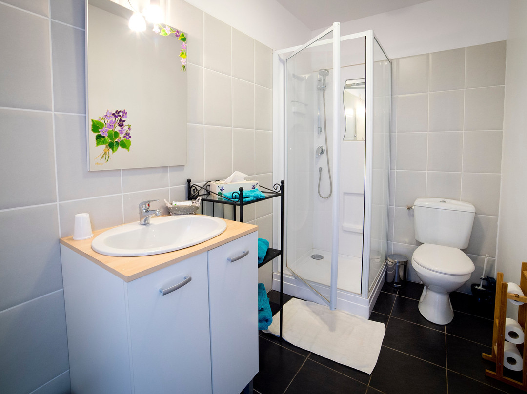 Entre Dolmens Et Fontaines主图