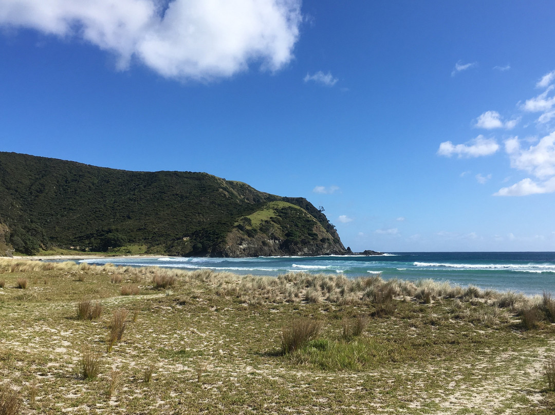 Tapotupotu Beach景点图片