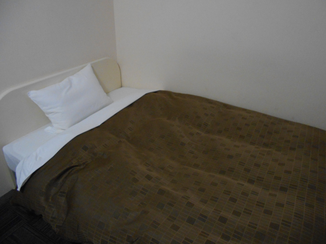 Mihara City Hotel主图