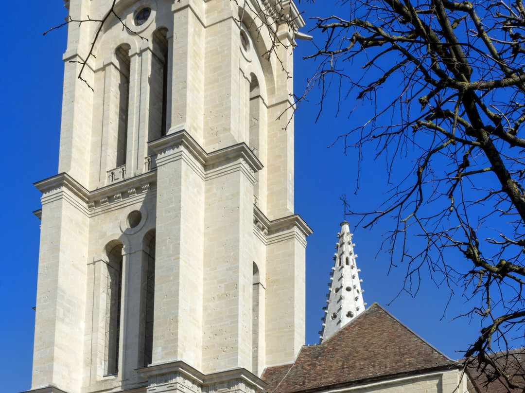 Eglise Saint Pierre-桑利斯必去景点