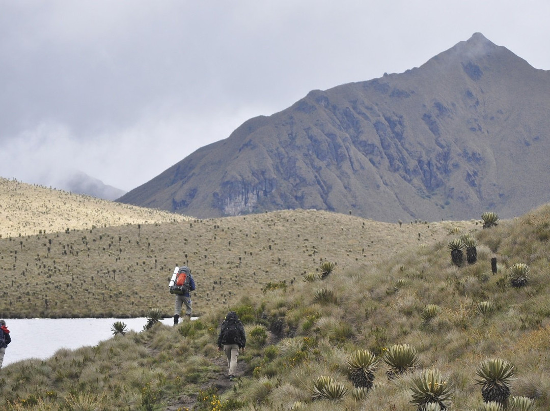 Montanas Colombianas-萨伦托必去景点
